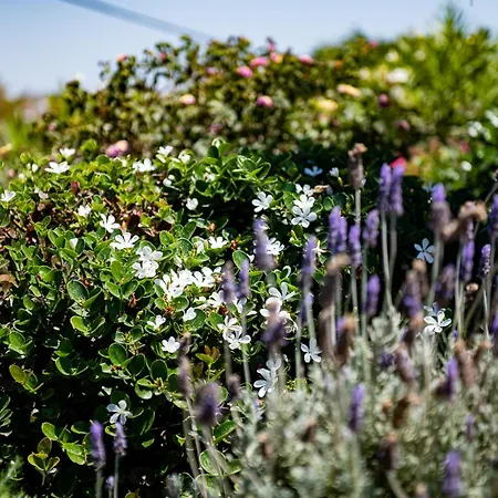 Melangio Private Pool & Sunrise Views - Location فيلة Agios Ioannis Diakoftis