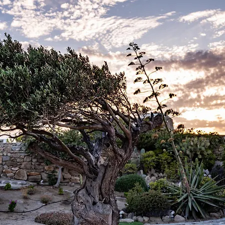 Melangio Mykonos - Aleomandra