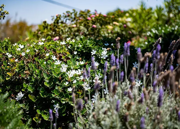 Melangio 6 Bedroom Villa Private Pool & Sea View - Aleomandra Mykonos Вилла Agios Ioannis Diakoftis